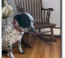 The Journey of Hazel’s Chair