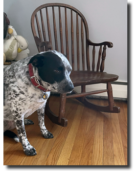 The Journey of Hazel’s Chair
